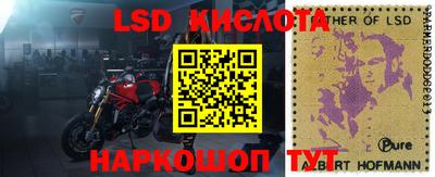 PSILOCYBIN Будённовск