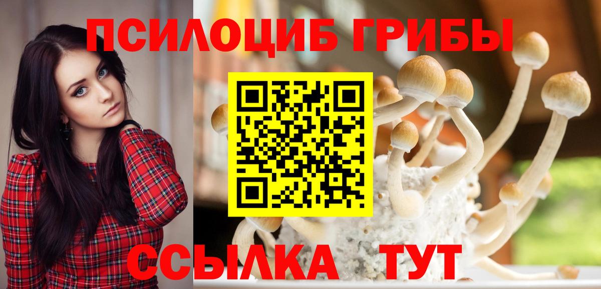 Псилоцибиновые грибы GOLDEN TEACHER Павлово
